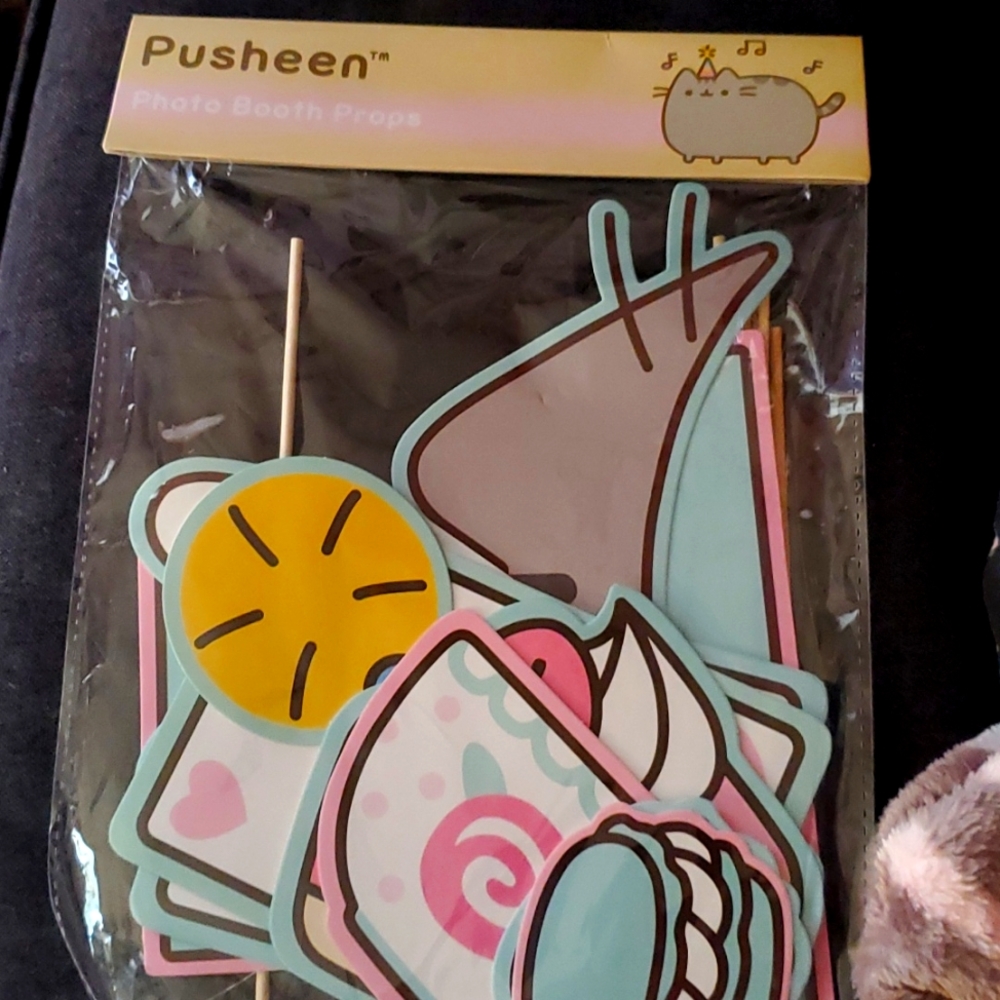 Pusheen Photo Booth Props